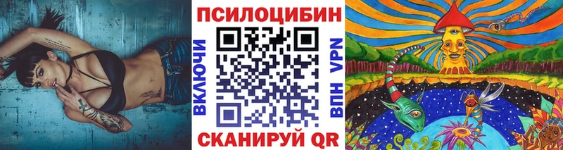 Галлюциногенные грибы GOLDEN TEACHER  продажа наркотиков  Весьегонск 